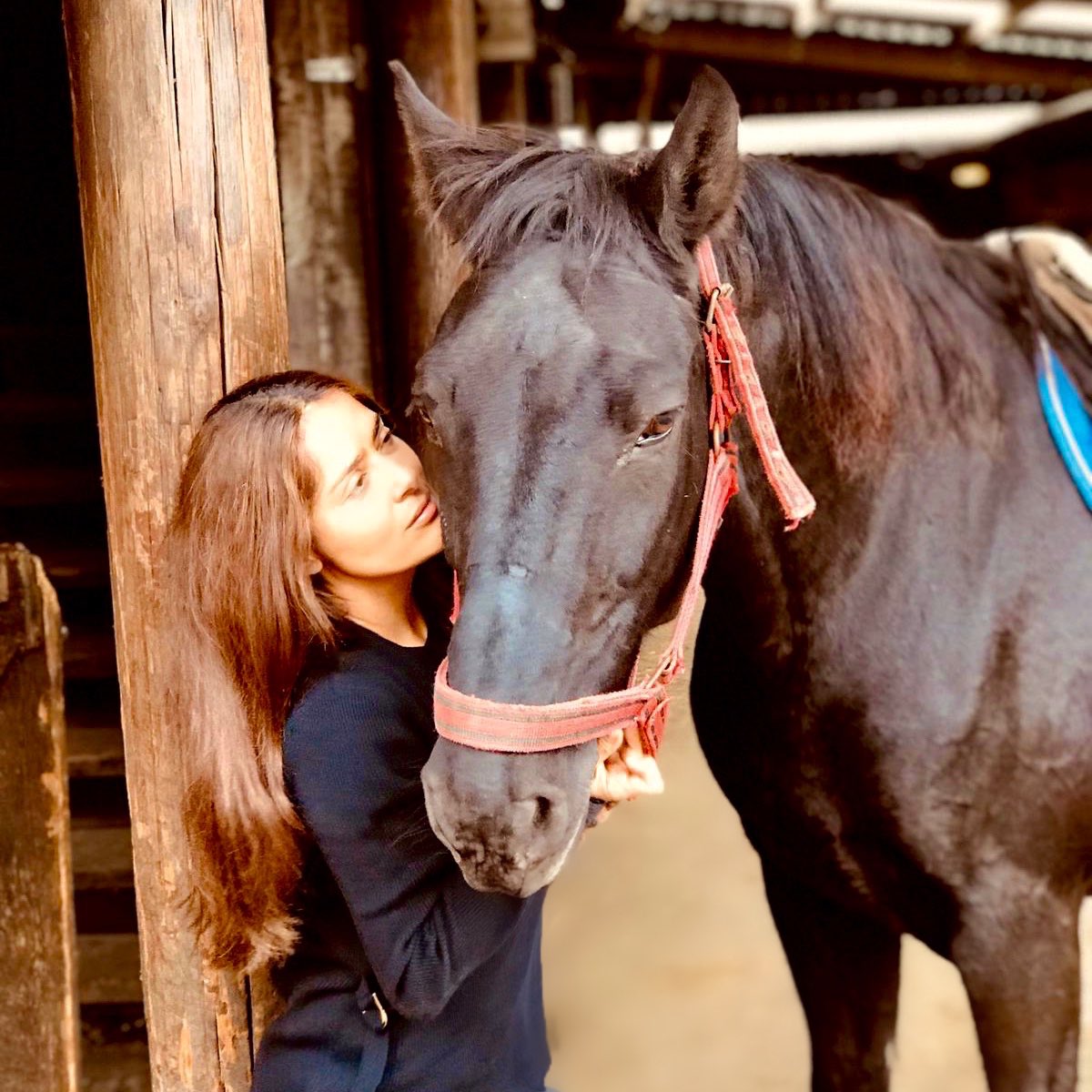 salmahayek's tweet photo. Nothing like the nobility of horses to recharge one’s spirit. I love horses ❤️ https://t.co/L9qVy8go0U