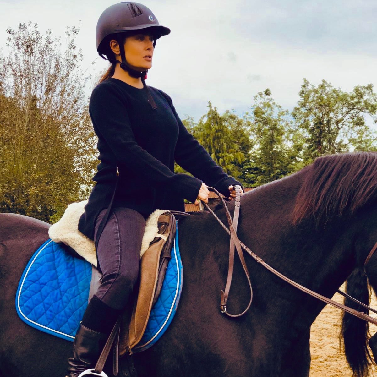 salmahayek's tweet photo. Nothing like the nobility of horses to recharge one’s spirit. I love horses ❤️ https://t.co/L9qVy8go0U