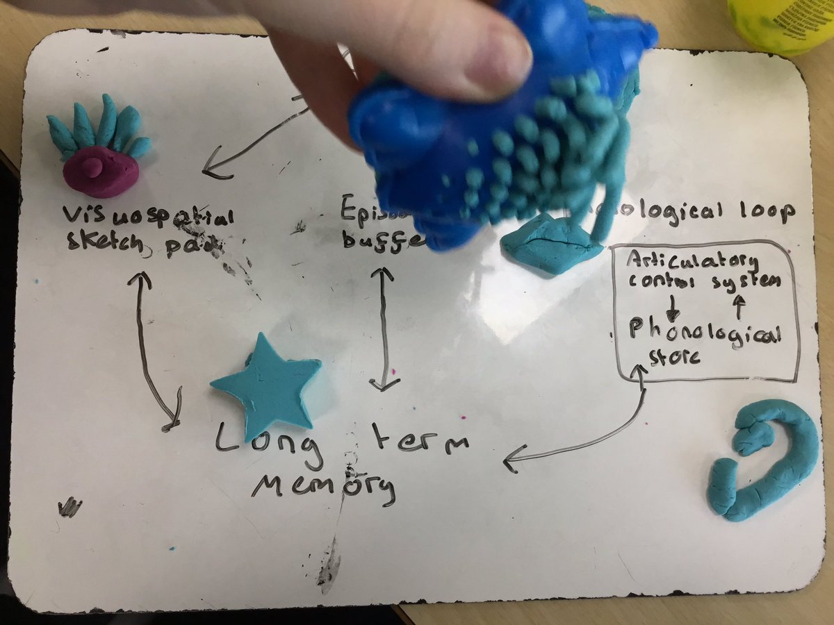 SJLPsychAndSoc's tweet photo. The working memory model made even more memorable in play dough sculptures!#creativepsychology https://t.co/beWeL73Utn