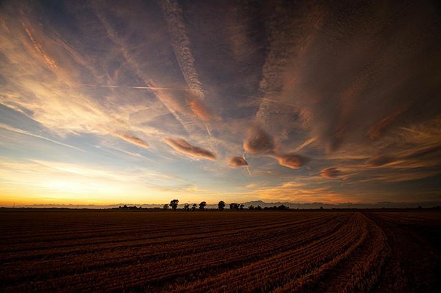 Filippo_Fossati's tweet photo. #atlnovara #nuvole #novara #igersnovara #igerspiemonte #ig_piemonte #sozzago #countryside #volgopiemonte #travelgram #welcometopiemonte #illgrammers #loves_united_piemonte #sombrescapes #volgonovara #thehub_piemonte #alluring_earthscapes #alluring_novara… https://t.co/85pKKI8ERv https://t.co/08NHxxavAL