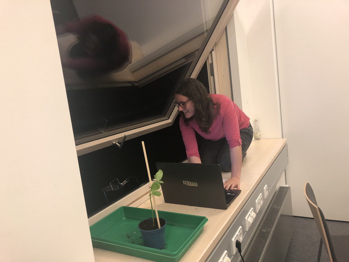 JoelleClaussen's tweet image. Testing temperature sensor #summerschool #FraunhoferIIS