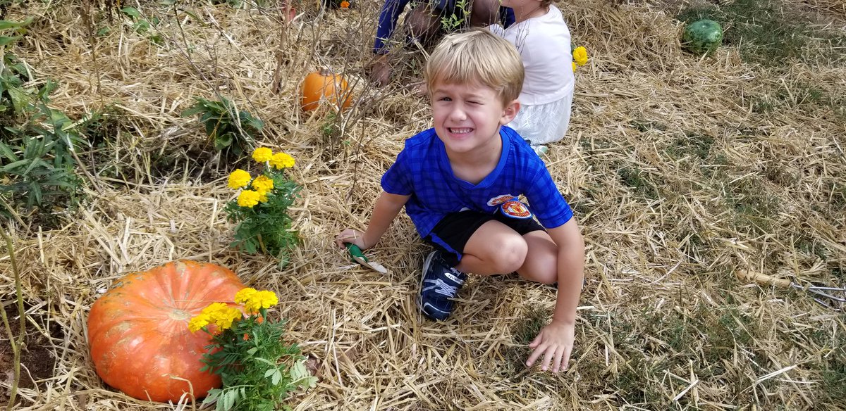 Friends School ATL tweet media