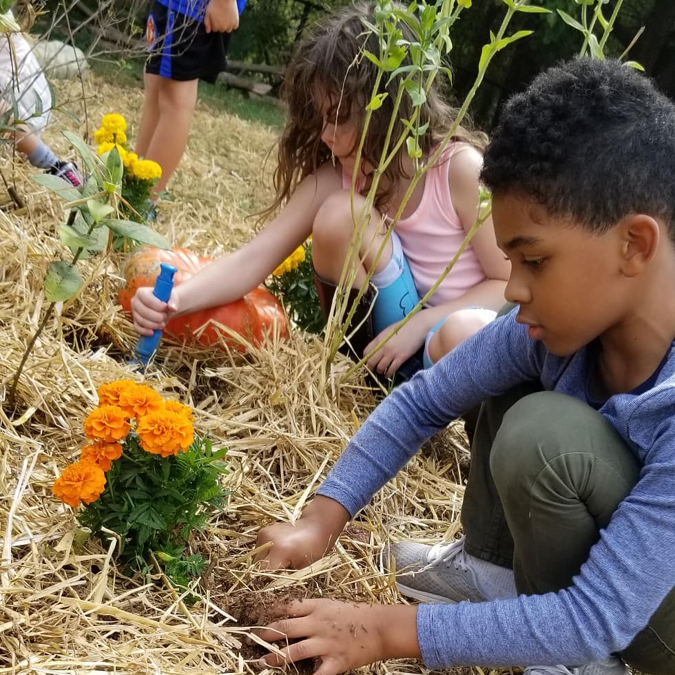 Friends School ATL tweet media