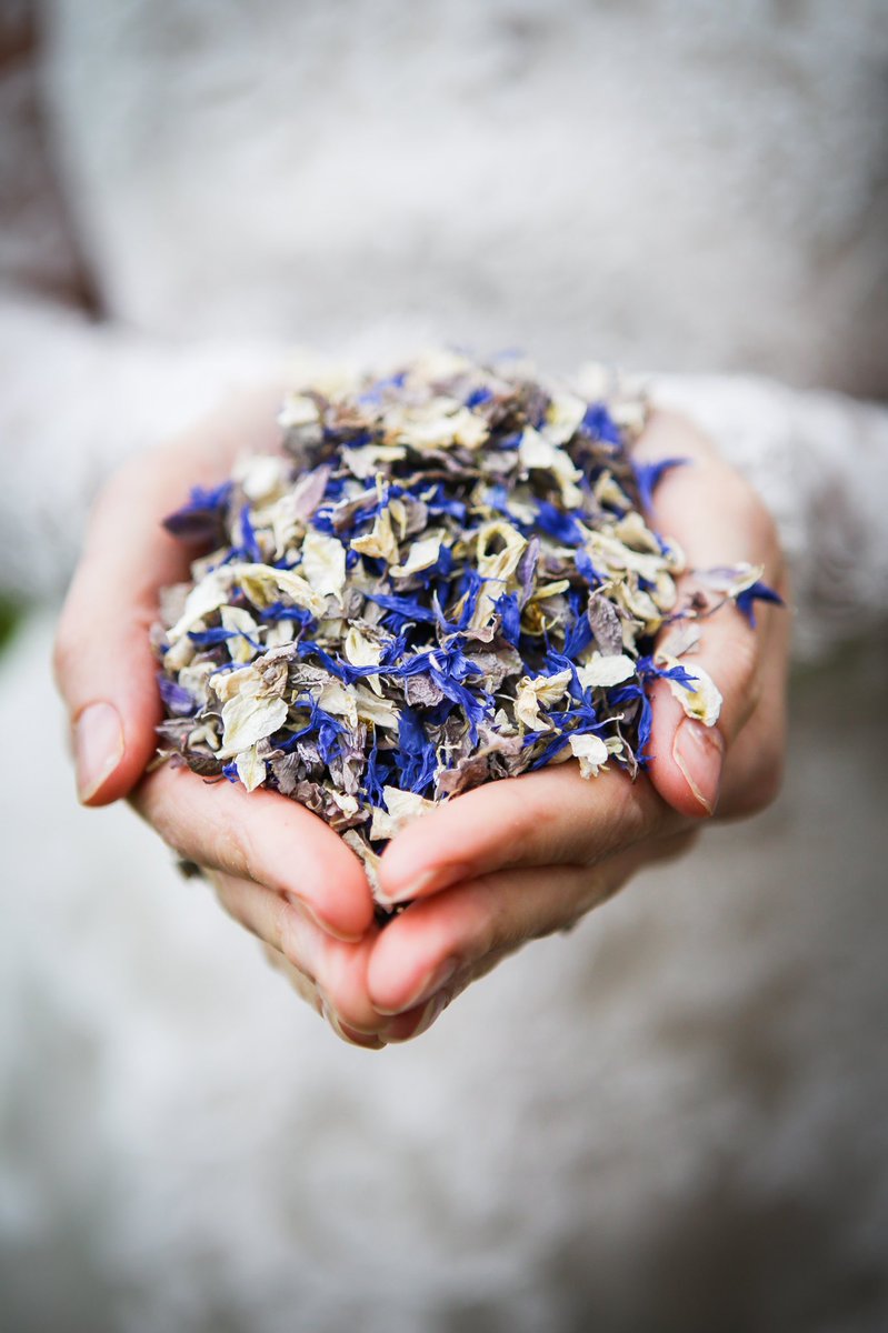 Highbullen's tweet photo. Love this confetti sequence captured by @freeformimages at a recent Victoriana themed wedding photo shoot at our hotel.
#weddingphotography #confettishot #victorianawedding #weddingwednesday #devonweddingvenue #countrywedding https://t.co/xbucDlJ1Vl