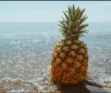 InfoFear's tweet photo. Be a pineapple. Stand tall. Wear a crown, and be sweet on the inside. https://t.co/8zt8tvzDvj