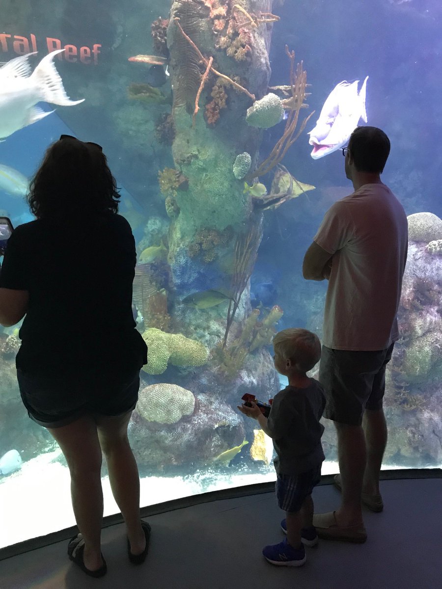 JordanAdv's tweet photo. Family vacation in Albuquerque.

Click below to read more about what Sylvia was up to this summer when she was out of office!
https://t.co/fI7NkpeMvv https://t.co/kd1FvkjgNv