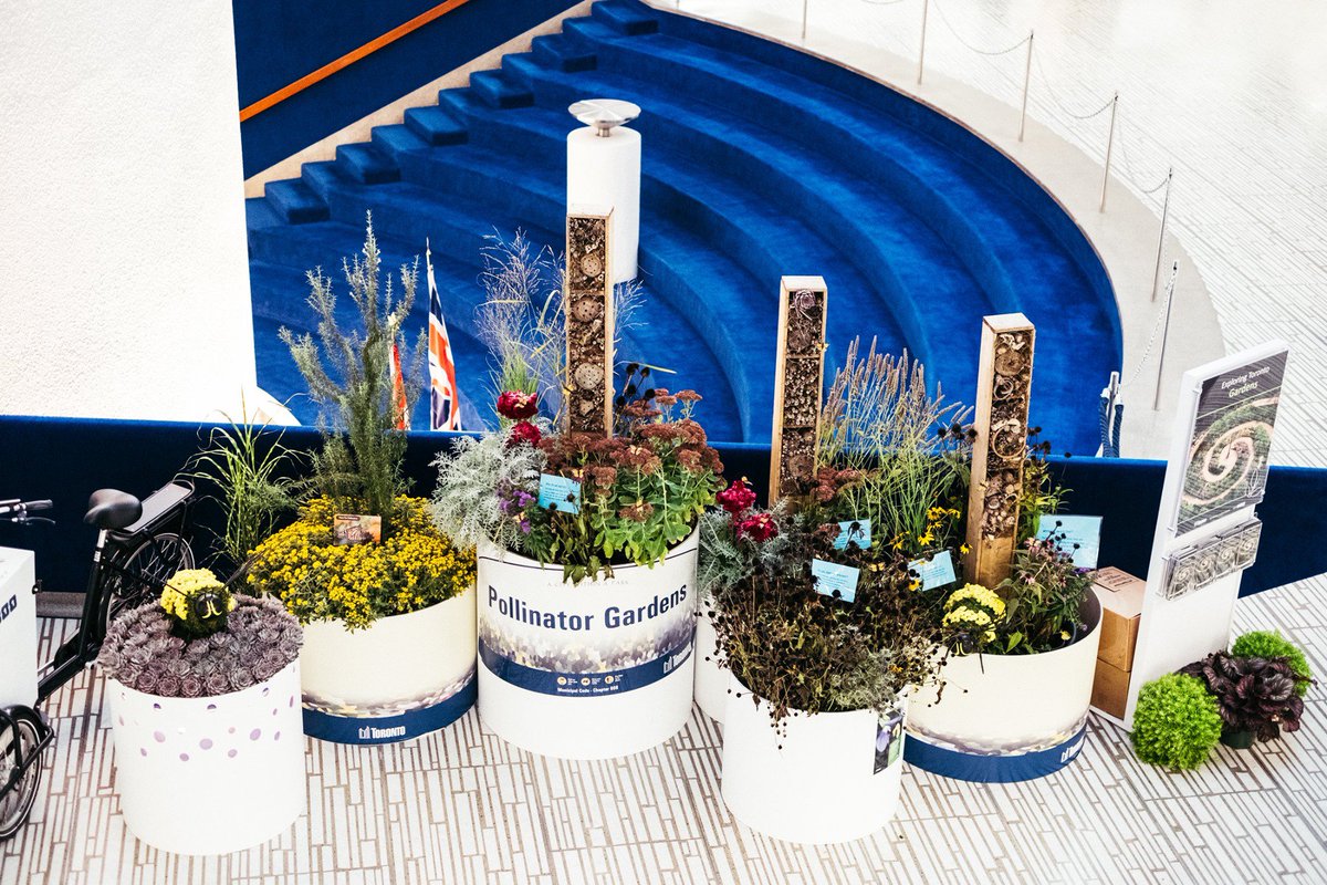 TorontoPFR's tweet photo. Conservatory staff have installed a temporary display (until October 16) in the City Hall rotunda to showcase several aspects of our work and a glimpse into what's been happening in parks throughout the City all year.
#TOparks #TOtrees #CityofTO https://t.co/NmFGgRslSm