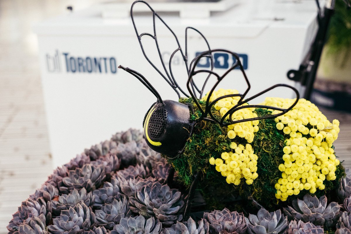 TorontoPFR's tweet photo. Conservatory staff have installed a temporary display (until October 16) in the City Hall rotunda to showcase several aspects of our work and a glimpse into what's been happening in parks throughout the City all year.
#TOparks #TOtrees #CityofTO https://t.co/NmFGgRslSm
