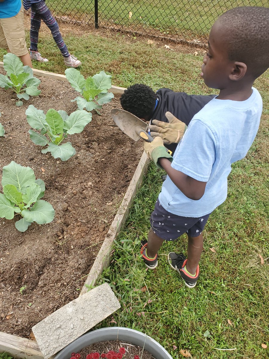 SciSean's tweet photo. @Hardcastle_Tch class had garden force stations to learn about pushes and pulls through weeding, digging, hot wheels and obstacles courses @MabletonES @MabletonSteam @STEMcobb @cobbscience @CobbSchools @CaliScienceCCSD https://t.co/kCmC85LDiy