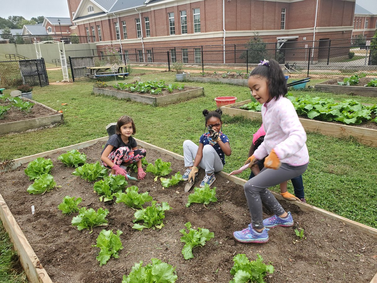 SciSean's tweet photo. @Hardcastle_Tch class had garden force stations to learn about pushes and pulls through weeding, digging, hot wheels and obstacles courses @MabletonES @MabletonSteam @STEMcobb @cobbscience @CobbSchools @CaliScienceCCSD https://t.co/kCmC85LDiy