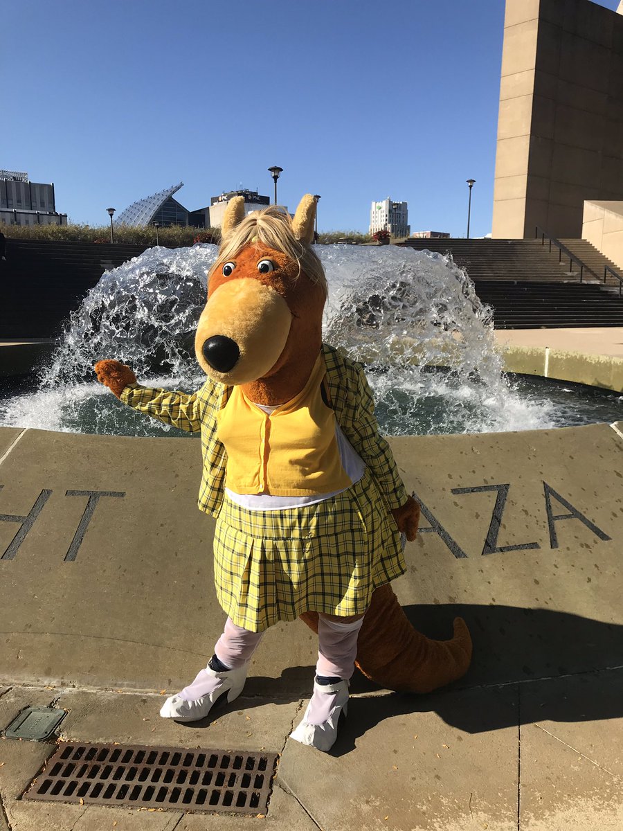 uakron's tweet photo. As if!
Zippy is filming her Halloween video today... she wanted to be Cher from Clueless this year. What do you think, Zips? #TeamZippy https://t.co/0hHmeR0zv1