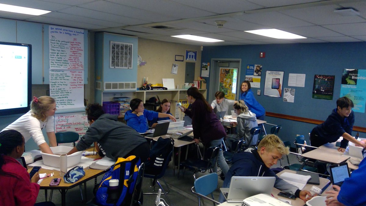n_beddes's tweet photo. Investigating homeostasis in 5th period #BioWithBeddes https://t.co/8dCxWdfwG8