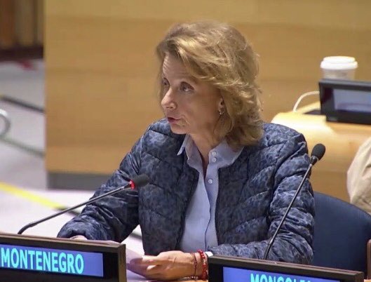 MilicaPDJ's tweet photo. #UNGA74 has continued through the work of its committees, where #Montenegro actively participates. Today, @ #6Committee debate on Measures to Eliminate Int Terrorism. As it is not only a security issue, a comprehensive multi-stakeholder cooperation is imperative.@FATFNews https://t.co/xvU4hlxMov