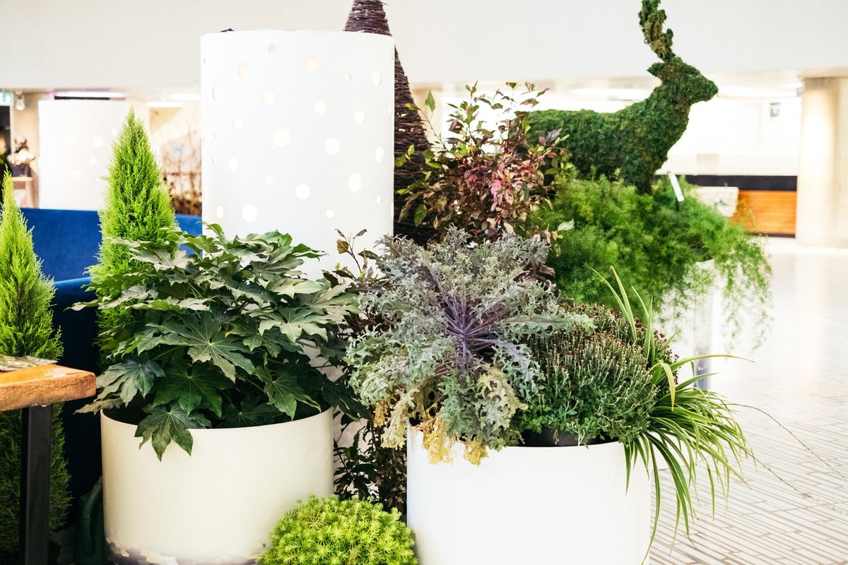 TorontoPFR's tweet photo. The rotunda display at City Hall highlights Ravines, Naturalized Gardens, Conservatories, Heritage Gardens, Horticulture and Pollinator Gardens.
#TOparks #TOtrees #CityofTO https://t.co/ASEyEif3X0