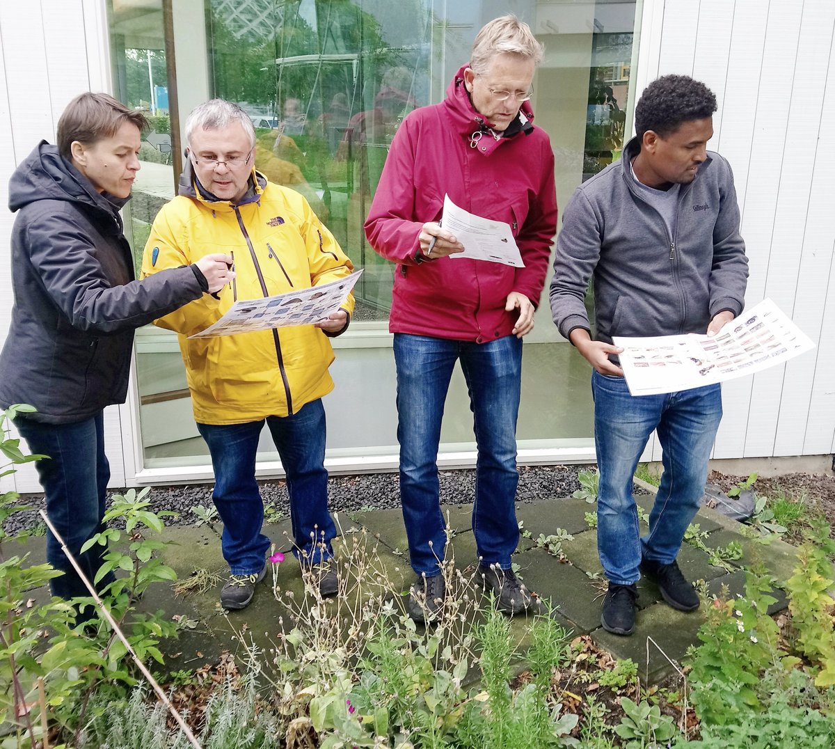 SBL_WUR's tweet image. Vanmiddag gezamelijk de betegelde patio van ons kantoor geteld voor de #bodemdierendagen. Er zaten verrassend veel bodemdieren. De tegeltuin kreeg maar liefst een 8.3! We hopen binnenkort ook nog naaktslakken en mollen tegen te komen.“ Tel ook mee! @niooknaw @VroegeVogels