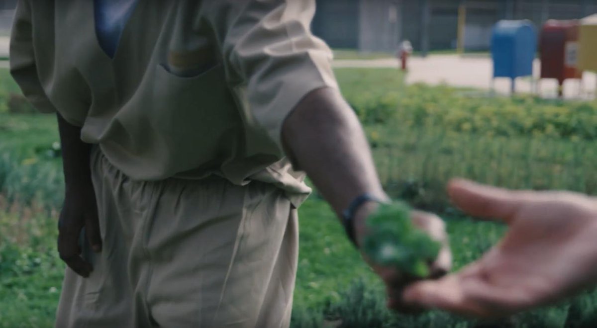 Come and listen to "Prison Perspectives: Readings from Garden Time Students at the Men's Maximum Security Facility in Rhode Island," a special segment in ReSeeding the City: Ethnobotany in the Urban, 2:15-2:30pm
watson.brown.edu/events/2019/re…