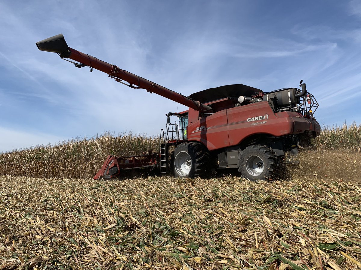 LiveWorkGrowCIA's tweet photo. What a beautiful day in CIL. @4illinifarms getting after it in the @Case_IH 8250 and 4412F. Rolling on #LSW1250 and #LSW750 from @GoodyearFarm. @ScottSloan6164 @acoers @crich961 @WheetMichael @MPSchmidtAG @maxarmstrong @ilcorn @whitetailfreaks https://t.co/MEk3uJqEC3