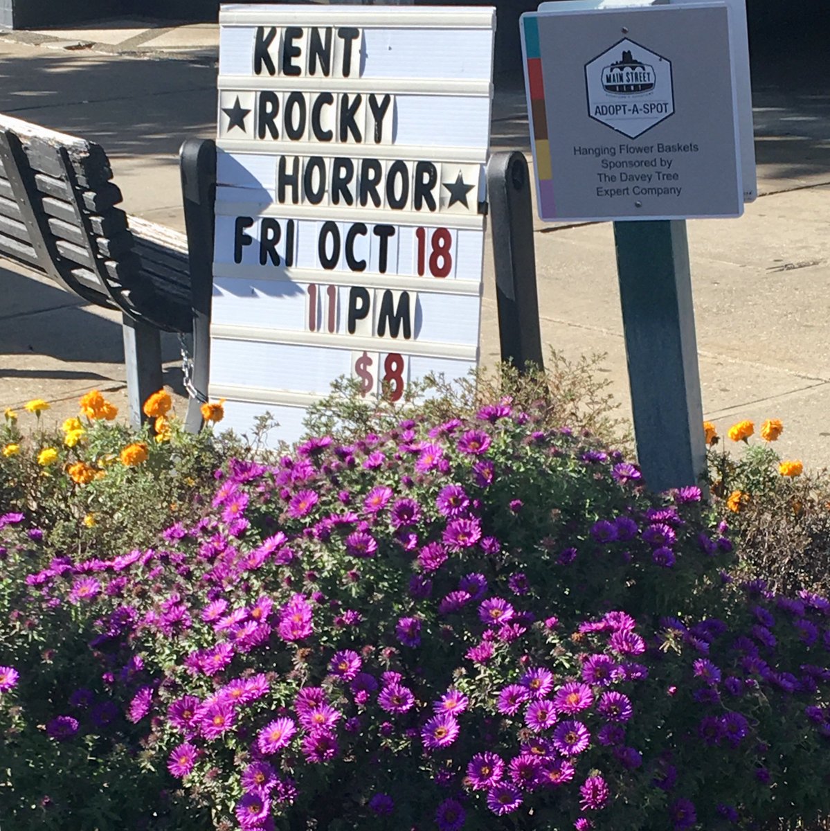 Beautiful fall flowers and the Rocky Horror Picture Show Oct. 18 — at The Kent Stage!