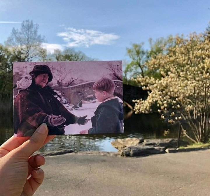 Meli Pian (@meli_deportes) on Twitter photo 