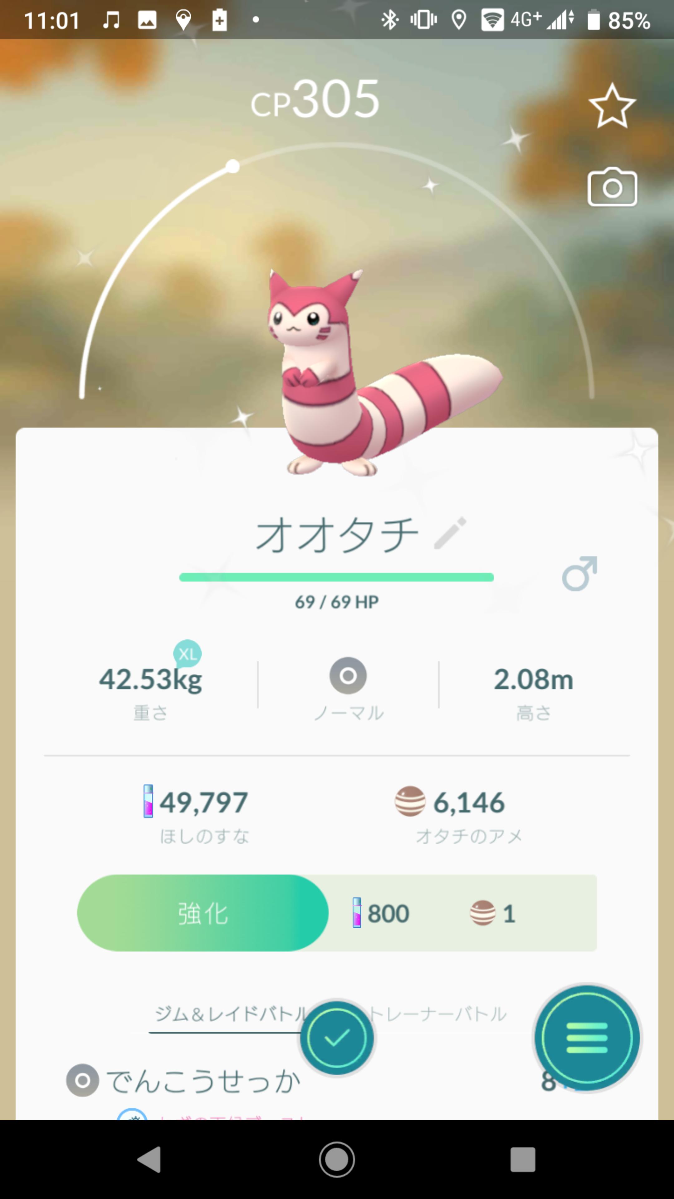 Siyku 金色のオタチ 台 そして桃色のオオタチ 台 ポケモンgo オタチ オオタチ 色違い T Co 6ka0tdwrix Twitter