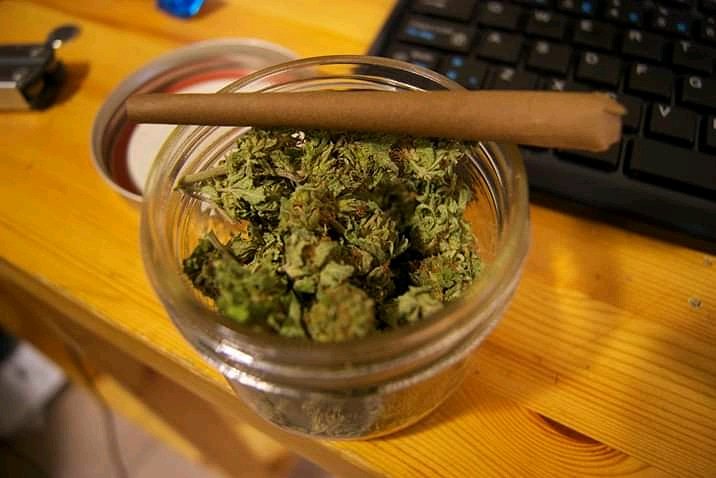IamTfrosh's tweet photo. Weed prof https://t.co/zxdJR9hKPD