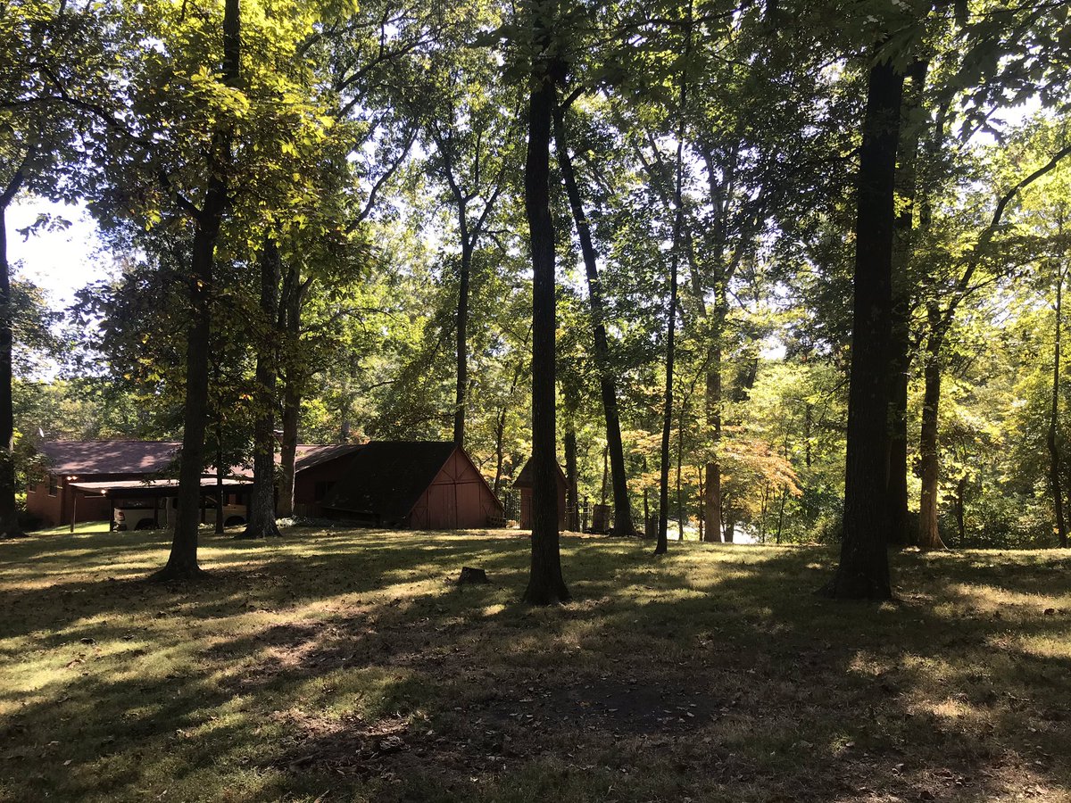properTpeddler's tweet photo. Beautiful day to show property! Blue skies & leaves π are turning. 38 acres with home. #BellevilleIL #FreeburgIL #buyland #buyhome #countryliving #Illinois #southernIL #propertypeddler https://t.co/6G6oDW9cjG