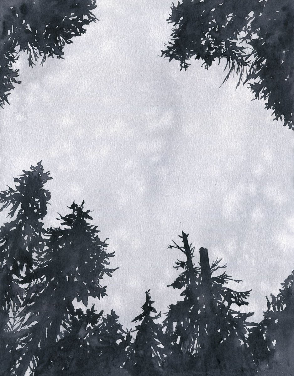 As I get to know this platform I will be sharing some of my favorite work from the last year, including paintings created during art residencies in Chamonix, the Andrews Forest, and Greenland. To start, here's one of my favorites from the Andrews Forest. <a href="/USLTER/">US LTER</a> <a href="/HJA_Live/">Andrews Forest</a>