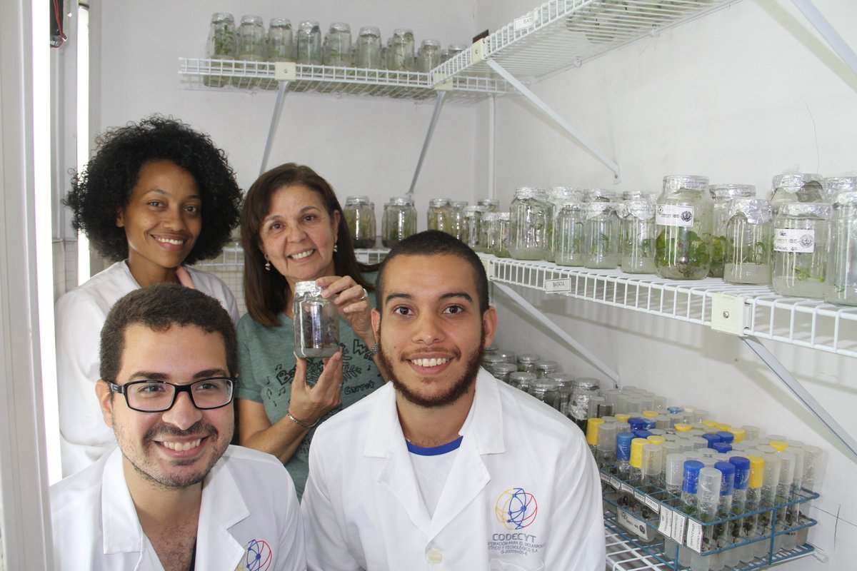 Mincyt_VE's tweet photo. ¿Te enteraste? 
Venezolanos crean fórmulas de alimentos balanceados para animales que pueden aportar proteína, y decir adiós a la soya importada. 

Se trata de alimentos creados a base de plantas proteicas locales: pira, morera, moringa, árnica, yuca. #GenteQueLePoneMente https://t.co/idpWSByl1l