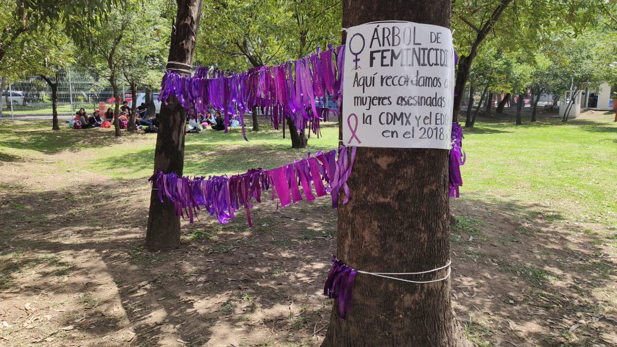 pg2711's tweet photo. Estudiantes comenzaron hoy el montaje del #ÁrboldeFeminicidios como parte de las actividades de la materia de género. Gracias a @ALRICCM y al @Tec_CCM por el apoyo. @CSocialesTec @msalguerb https://t.co/VQGVac87eJ