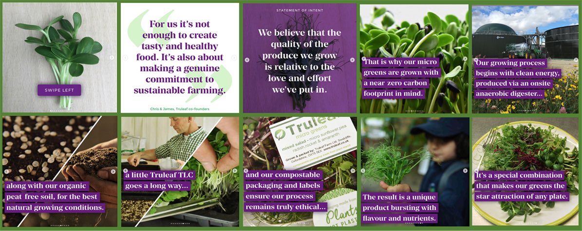 SuzanneHemchaou's tweet photo. @Thomas_Franks_ we adore supporting our niche & start-up suppliers. π±π± #TrueLeafFarm is a perfect example of responsible & ethical growing. Their #Microgreens are soooo delicious & versatile too....#CompostablePackaging #CorporateResponsibility π±π±π± https://t.co/uYL1HPJ6el