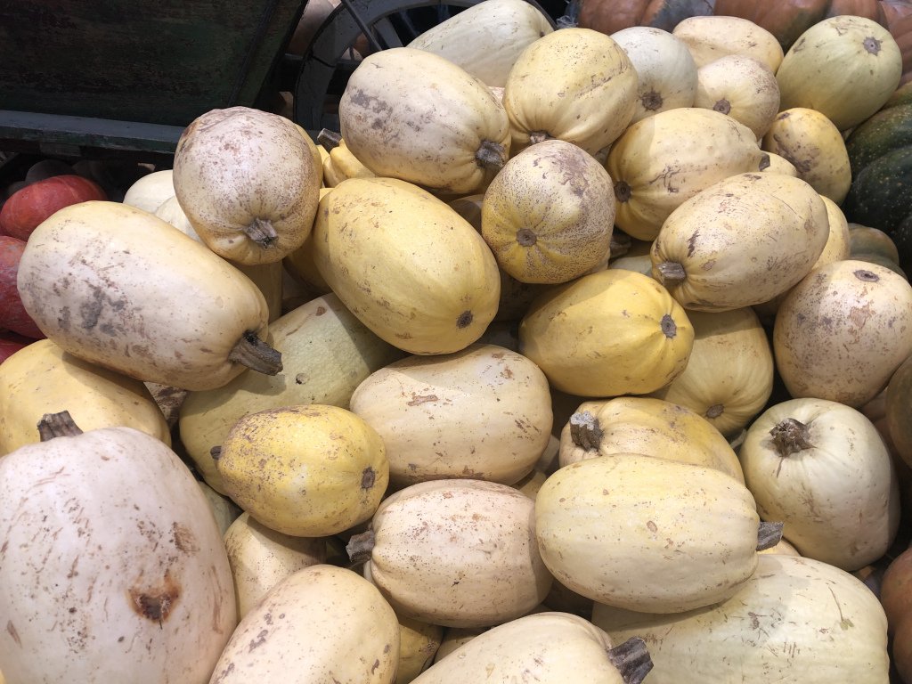 un Mardi sans chimio ezhikorn.wordpress.com/2019/10/10/un-…