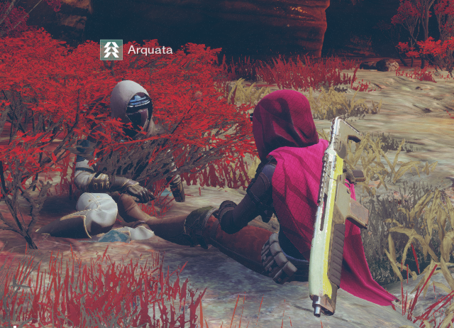 SpIknd's tweet photo. #Destiny2Things https://t.co/fHJSAnYtWJ