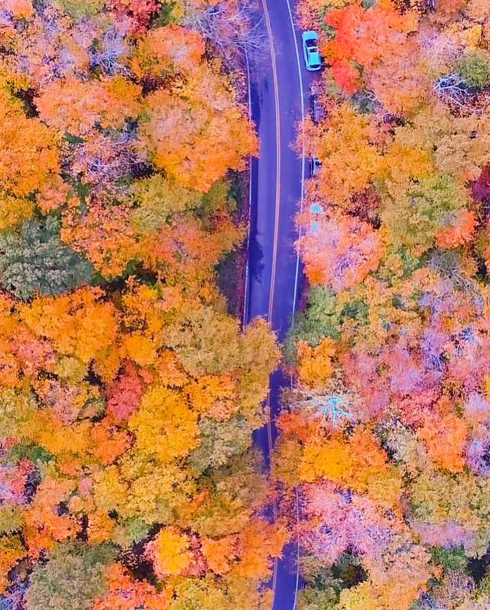 LizMyNBC5's tweet photo. Vermont is PEAKING right now 😍❤️🍁 had to check out #SmugglersNotch & #Stowe before the long weekend crowd arrives. These colors are great for #VT tourism #fall #foliage #fallfoliage #leafpeeping #newengland #travel https://t.co/jVCgvLw29T