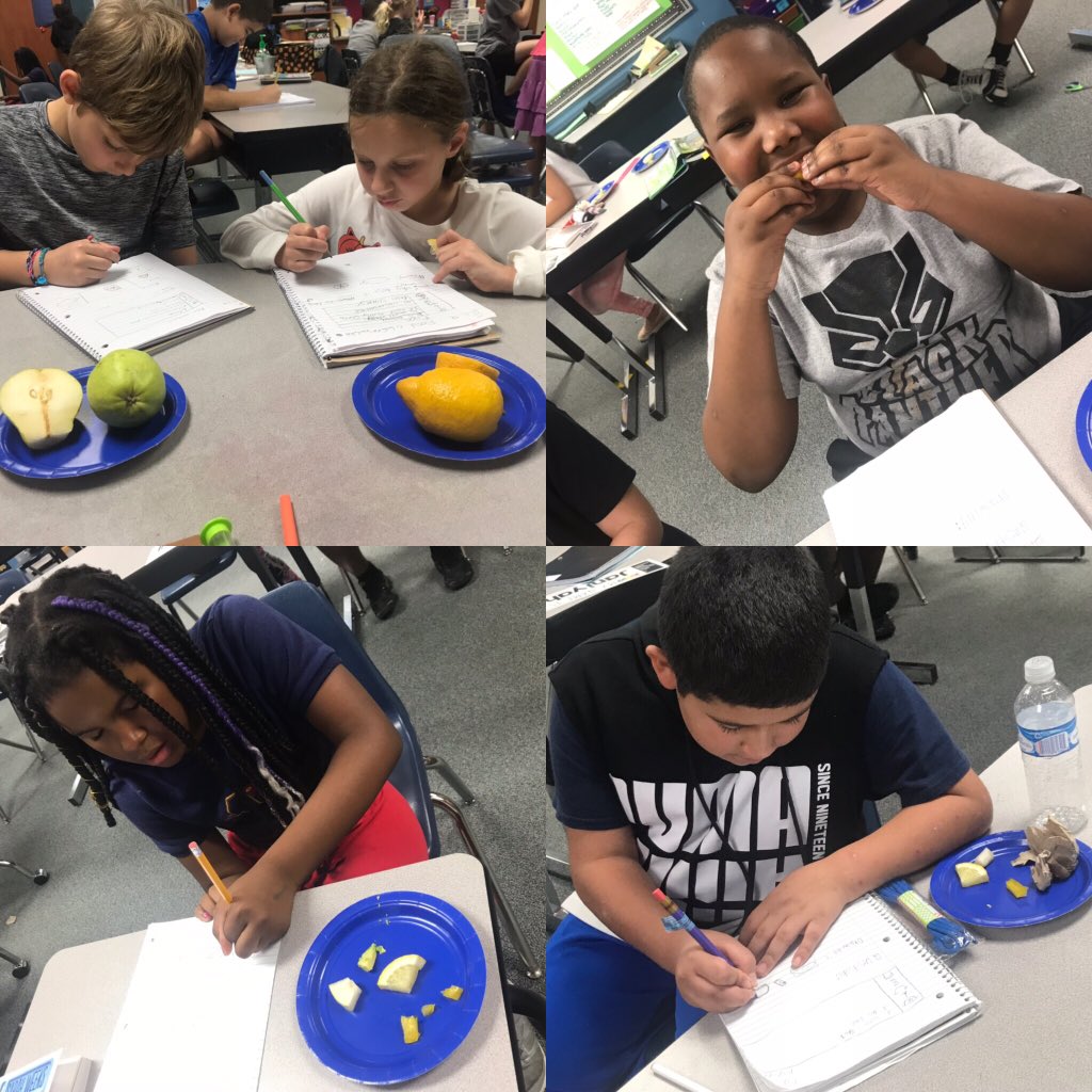 Dooley 4th Grade tweet media