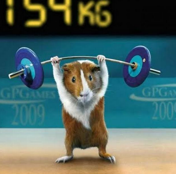 LightningInVA's tweet image. No matter your skill level, no matter your build, we can help you with #StrengthTraining! We promise a fun, safe environment for everyone, and you WILL notice a difference!

#CompEdge 
571-398-2813
ow.ly/KUKo50wG4VL