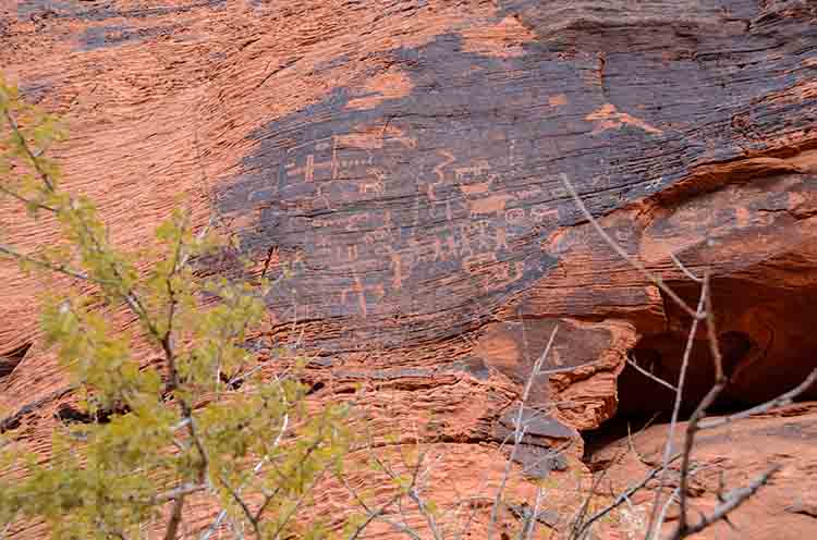 Pink Jeep Tours tweet media