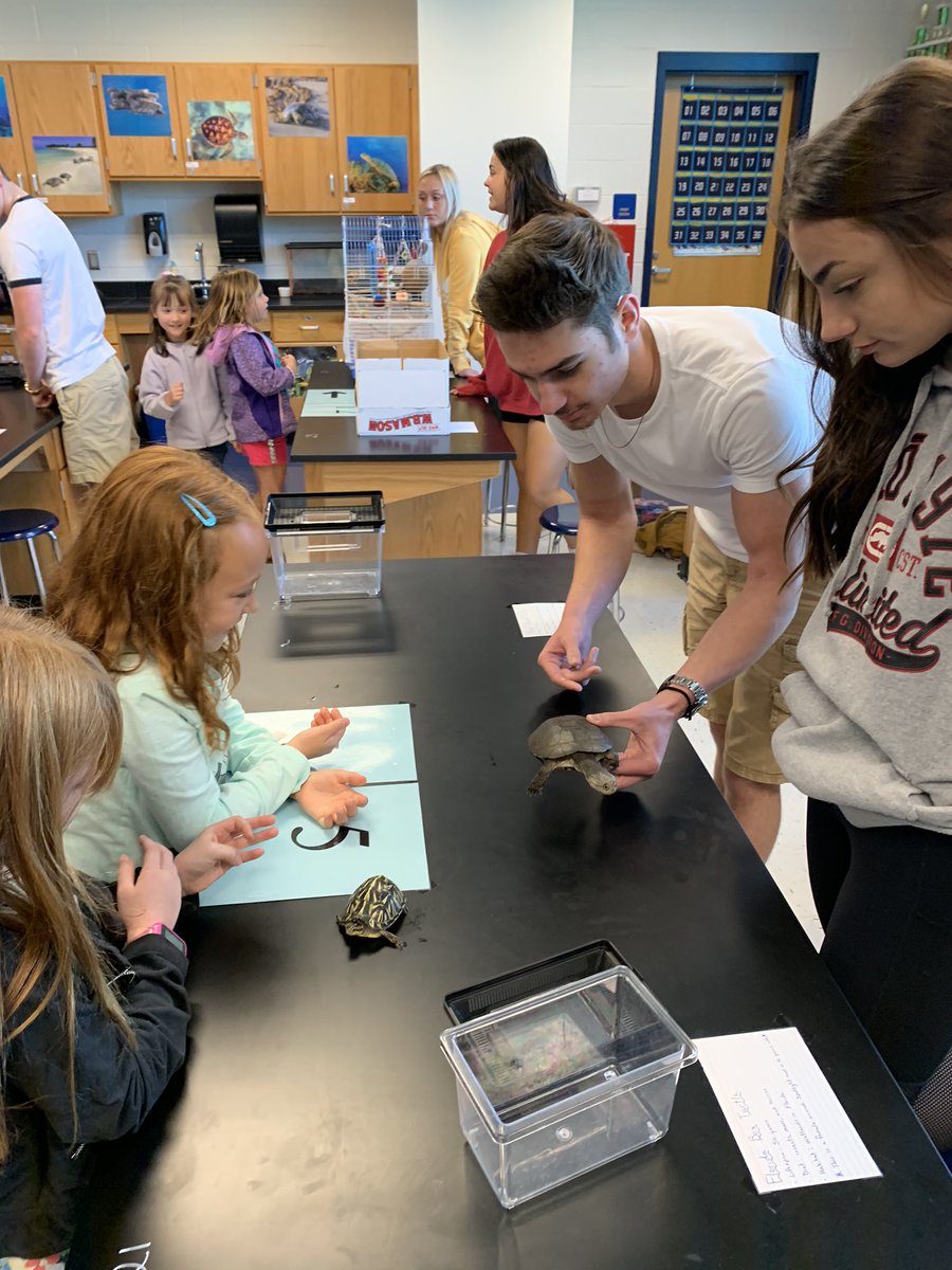 Mrs Geist tweet media