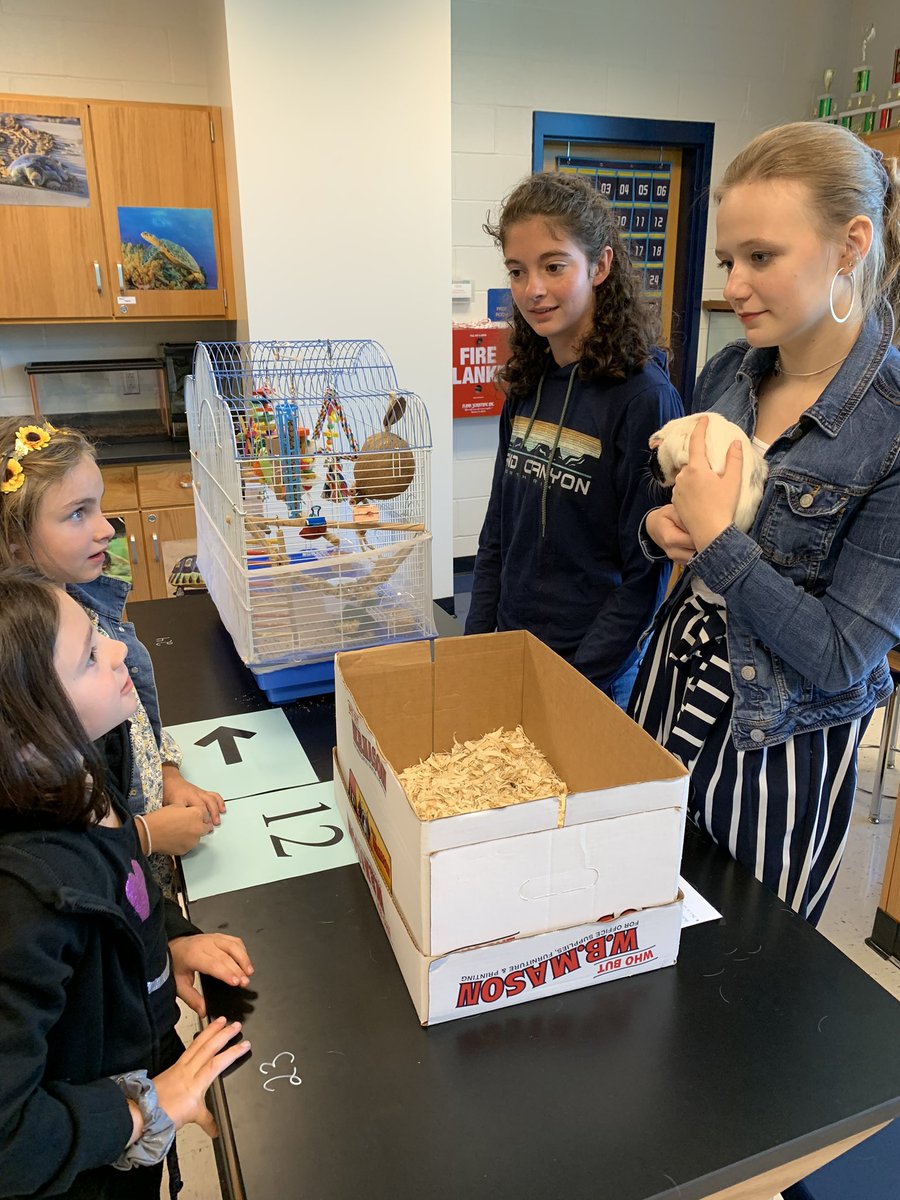 Mrs Geist tweet media