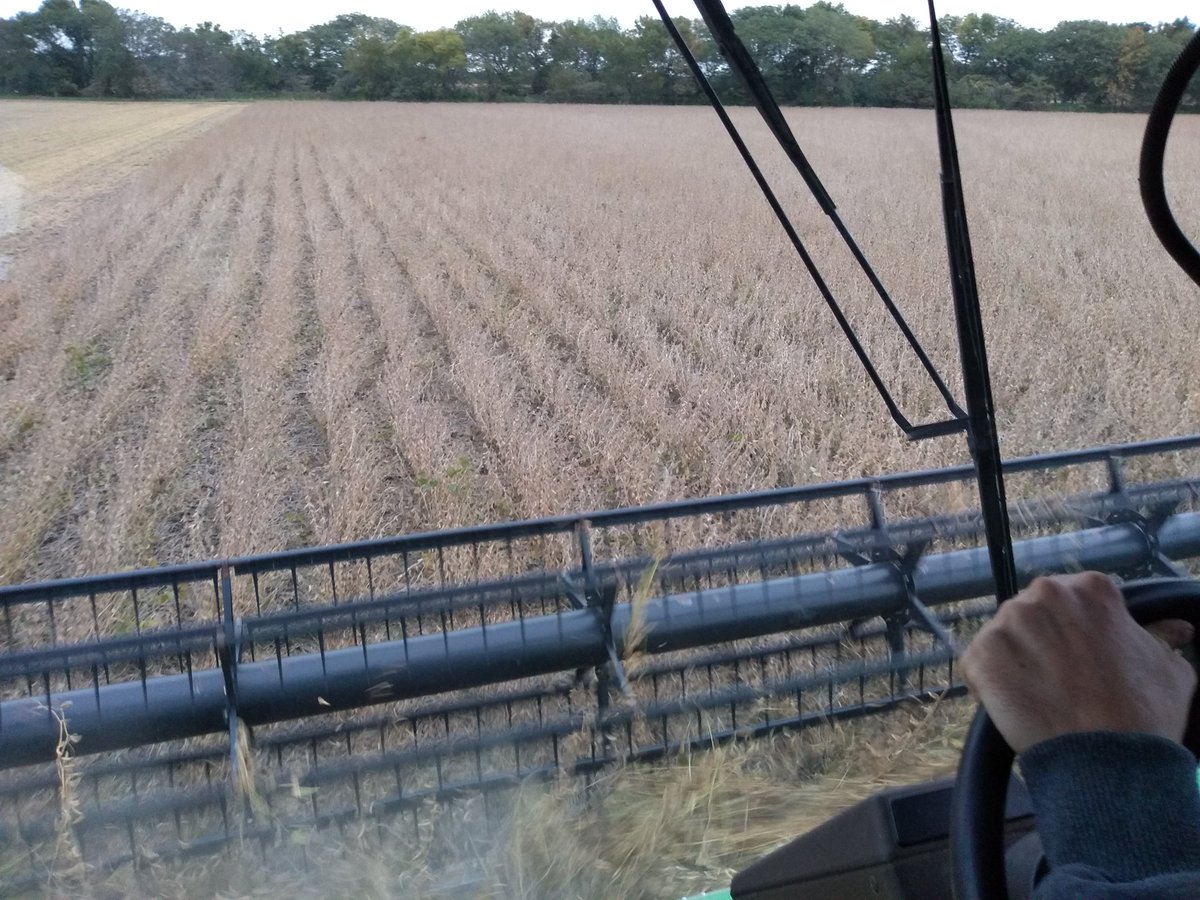 radeunk's tweet image. Harvest has begun, finally!