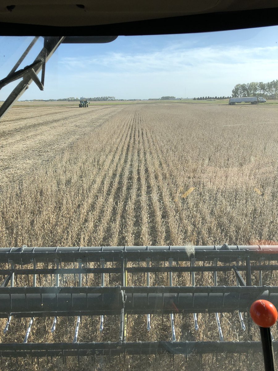 MatthewWorkin's tweet image. S14EN90 @DynaGroSeed Enlist soybeans running 66 an acre #LeadingtheField #LeadingtheYieldSweepstakes