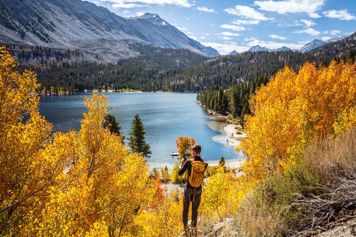 We are loving the fall colors in Rock Creek right now! Have you hiked / biked / jogged the canyon lately?
