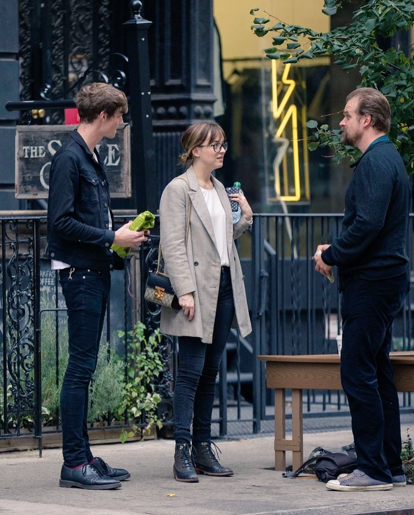 _lippppp's tweet image. Tb to when #DakotaJohnson #MattHitt &amp;amp; #DavidHarbour were chatting on the streets of NY. No big deal 💋