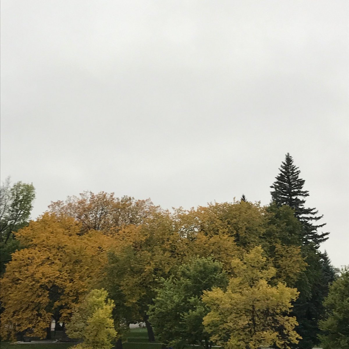 Beautiful fall colors as I leave ⁦@ymcacassclay⁩ today. Just sad they might be covered in snow by tomorrow. 😭