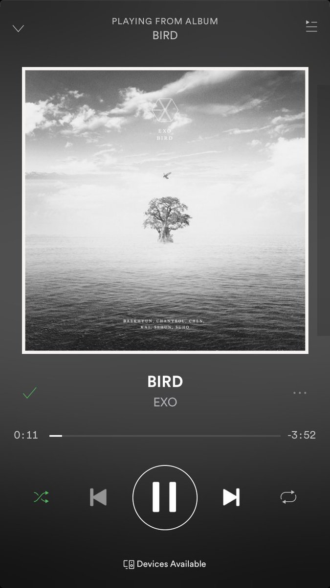 KJIDOLOFIDOLS's tweet photo. FINALLY ITS OUT AAAAAH 🥺🥺🎉🎉🎉🎉 sksksksk I’m so gassed 😭 EXOs first 2019 song 🥺🥺🥺 and my first EXO song as an exo-l 🥺🥺🥺🥺🥺 @weareoneEXO #EXO_Bird #EXO_Is_Flying #FlyWithEXO #BIRD #EXO https://t.co/TRVKuxfFYl https://t.co/K6jhYCosOD