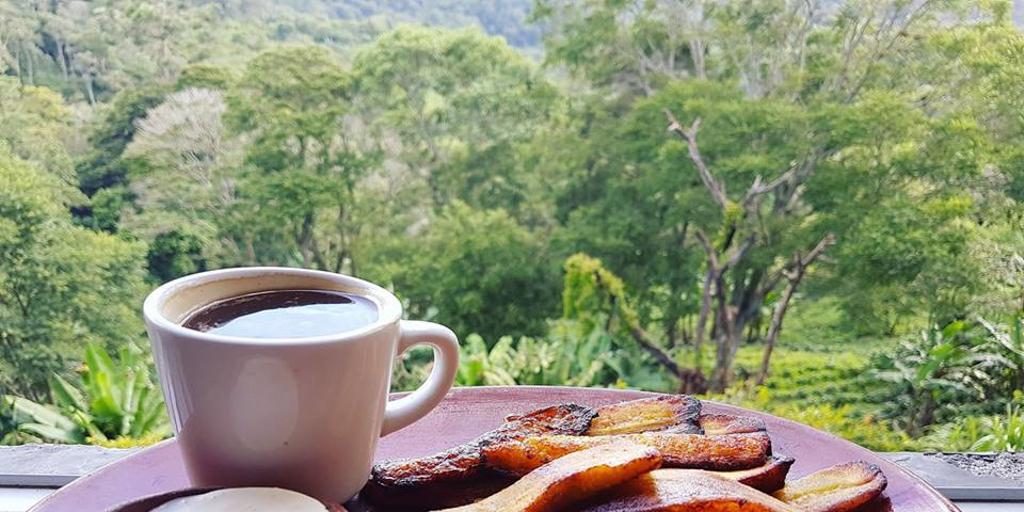 Delicious Honduran coffee with a view! #choosehonduras #honduras @visithonduras #thisisadventure #coffeebreak #coffeetour #coffeetrip #agritourism