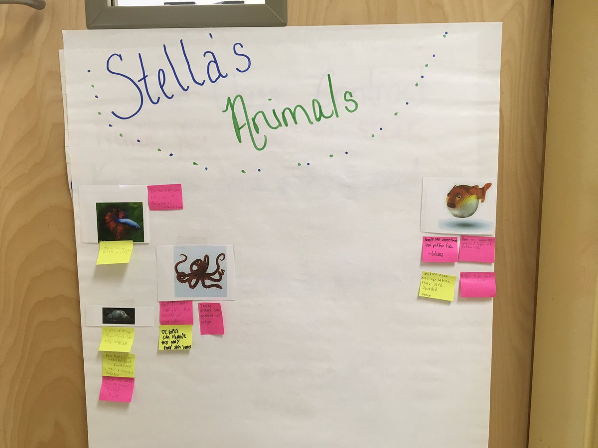 MrsJBarney's tweet photo. #GRA2019 We are learning about so many sea animals thanks to @bhopteacher Stella Hyperdoc. My dragons decided to keep a fact chart. ππ€ππ€ I love watching them learn, @bethebridgeDBES #LowTechLearning #collaboration https://t.co/PmUjIgAeUq