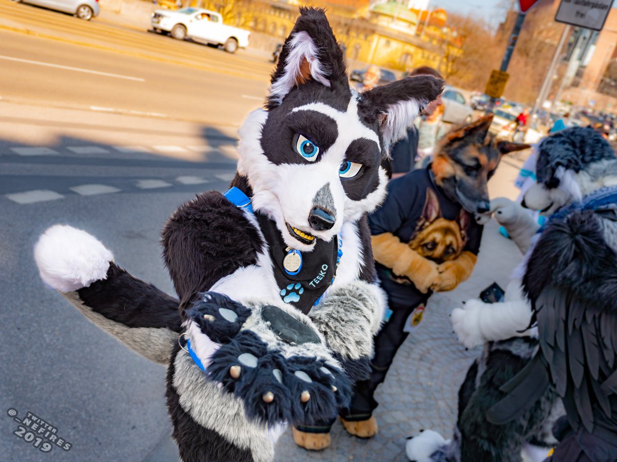 Münchener Suitwalk • Munich Suitwalk (@msuitwalk) on Twitter photo Guten Morgen an diesem #FursuitFriday vor dem #MSW7!
#Fursuit #Furry via <a href="/BayernFurs/">Bayern-Furs e.V.</a> |
📷 <a href="/_Nefires/">Blepdragon</a> | 🐾 <a href="/Rougfox/">Rougfox</a> <a href="/AronGShepherd/">AronGShepherd</a> <a href="/CaptainChaotika/">🌻 混沌的隊長 ➡️ TFF, AC, EF</a> Guten Morgen an diesem #FursuitFriday vor dem #MSW7!
#Fursuit #Furry via <a href="/BayernFurs/">Bayern-Furs e.V.</a> |
📷 <a href="/_Nefires/">Blepdragon</a> | 🐾 <a href="/Rougfox/">Rougfox</a> <a href="/AronGShepherd/">AronGShepherd</a> <a href="/CaptainChaotika/">🌻 混沌的隊長 ➡️ TFF, AC, EF</a>