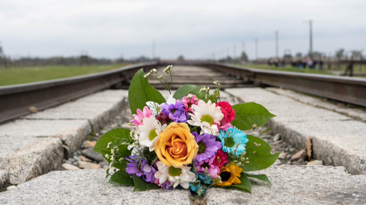 HopeAfterHate1's tweet photo. Day four: Auschwitz
Thou shalt not be a victim, thou shalt not be a perpetrator, but, above all, thou shalt not be a bystander.
Yehuda Bauer
#Neveragain #HopeAfterHate #MonieksLegacy https://t.co/whegaPydi0