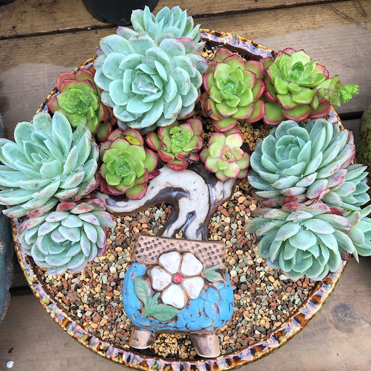 The Next Gardener tweet media