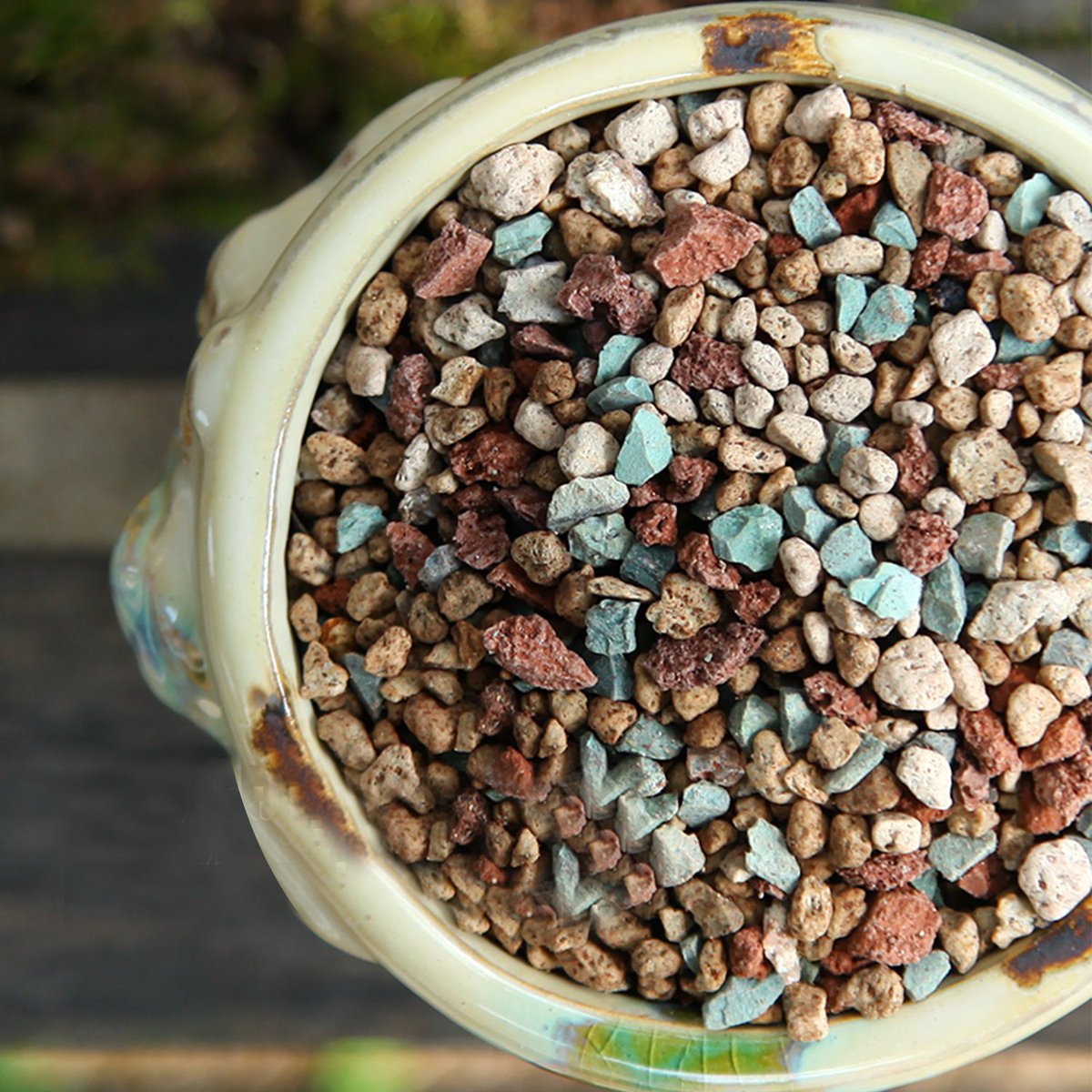 The Next Gardener tweet media